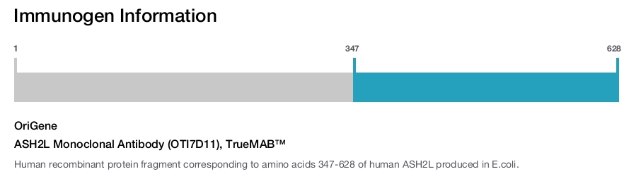 ASH2L Monoclonal Antibody (OTI7D11), TrueMAB™
