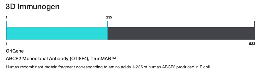 ABCF2 Monoclonal Antibody (OTI8F4), TrueMAB&trade;