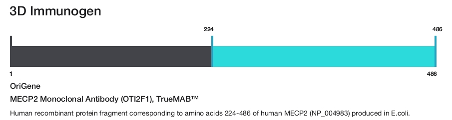 MECP2 Monoclonal Antibody (OTI2F1), TrueMAB&trade;