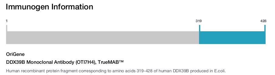 DDX39B Monoclonal Antibody (OTI7H4), TrueMAB™