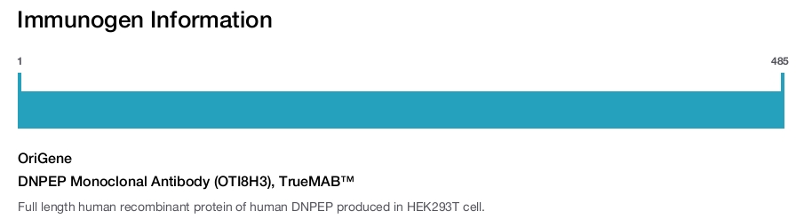 DNPEP Monoclonal Antibody (OTI8H3), TrueMAB™