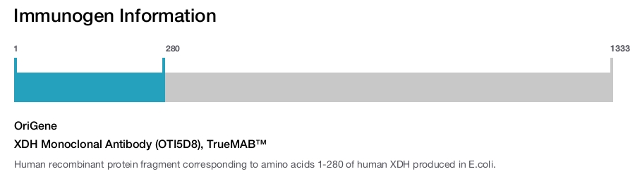 XDH Monoclonal Antibody (OTI5D8), TrueMAB™