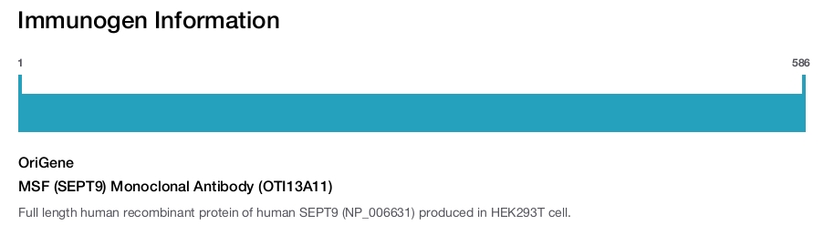 MSF (SEPT9) Monoclonal Antibody (OTI13A11)