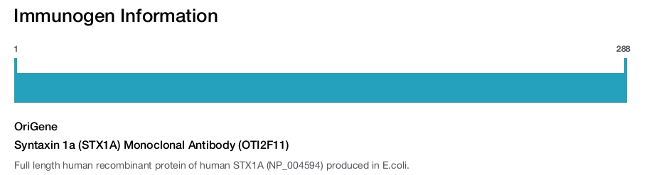 Syntaxin 1a (STX1A) Monoclonal Antibody (OTI2F11)