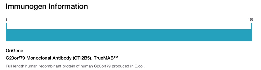 C20orf79 Monoclonal Antibody (OTI2B5), TrueMAB™