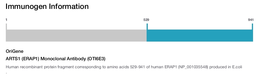 ARTS1 (ERAP1) Monoclonal Antibody (OTI6E3)