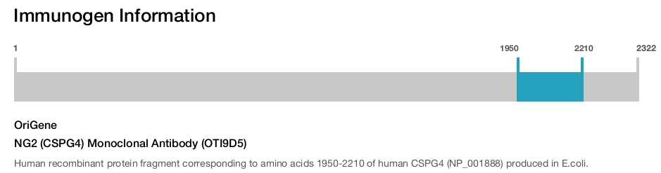 NG2 (CSPG4) Monoclonal Antibody (OTI9D5)
