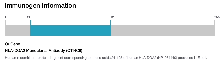 HLA-DQA2 Monoclonal Antibody (OTI4C9)