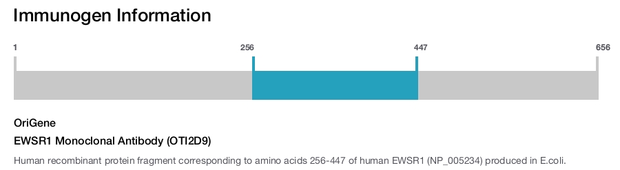 EWSR1 Monoclonal Antibody (OTI2D9)