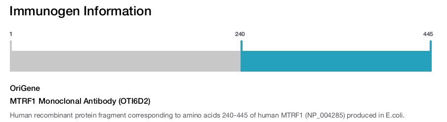 MTRF1 Monoclonal Antibody (OTI6D2)