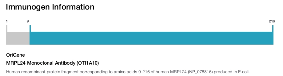 MRPL24 Monoclonal Antibody (OTI1A10)