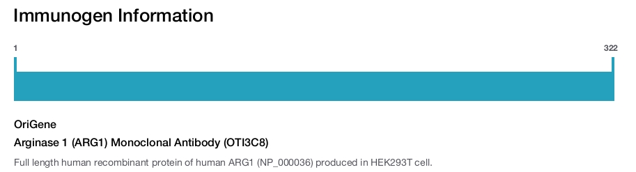 Arginase 1 (ARG1) Monoclonal Antibody (OTI3C8)