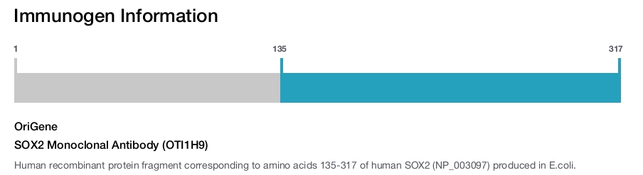 SOX2 Monoclonal Antibody (OTI1H9)