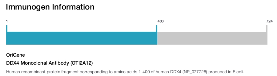 DDX4 Monoclonal Antibody (OTI2A12)