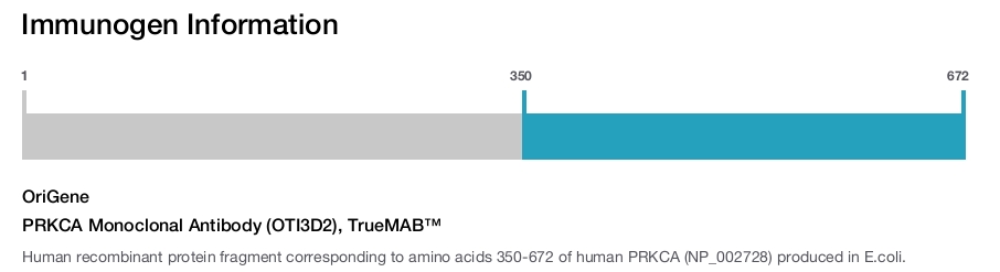 PRKCA Monoclonal Antibody (OTI3D2), TrueMAB™