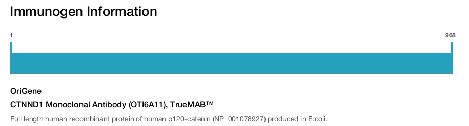CTNND1 Monoclonal Antibody (OTI6A11), TrueMAB™