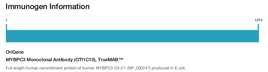 MYBPC3 Monoclonal Antibody (OTI1C10), TrueMAB™