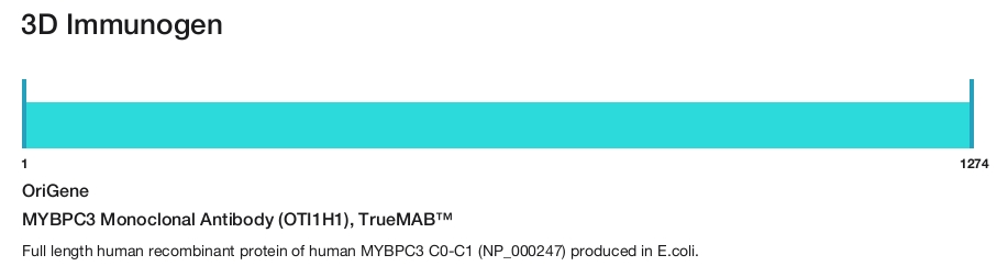 MYBPC3 Monoclonal Antibody (OTI1H1), TrueMAB&trade;