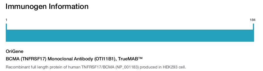 BCMA (TNFRSF17) Monoclonal Antibody (OTI11B1), TrueMAB™
