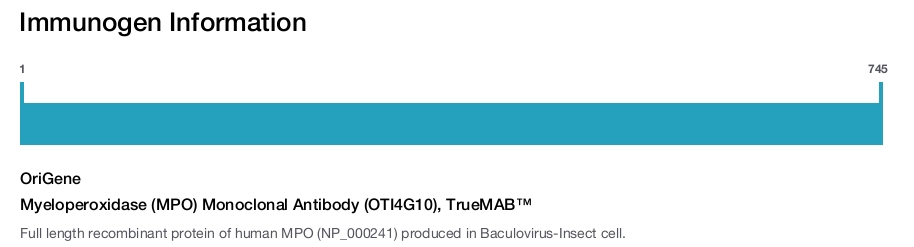 Myeloperoxidase (MPO) Monoclonal Antibody (OTI4G10), TrueMAB™