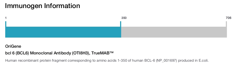 bcl 6 (BCL6) Monoclonal Antibody (OTI8H3), TrueMAB™