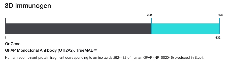 GFAP Monoclonal Antibody (OTI2A2), TrueMAB&trade;