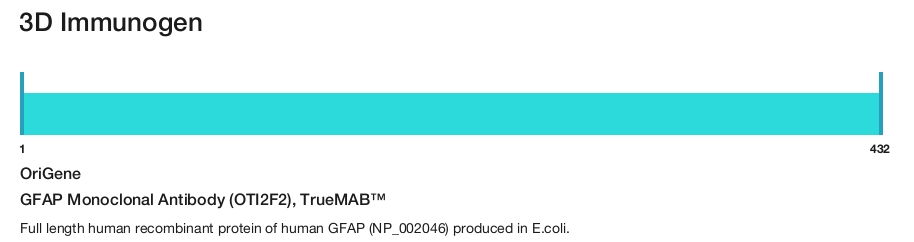 GFAP Monoclonal Antibody (OTI2F2), TrueMAB&trade;