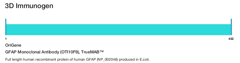 GFAP Monoclonal Antibody (OTI10F9), TrueMAB&trade;