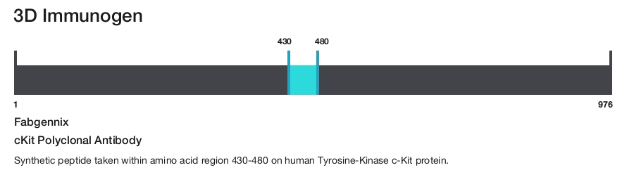cKit Polyclonal Antibody
