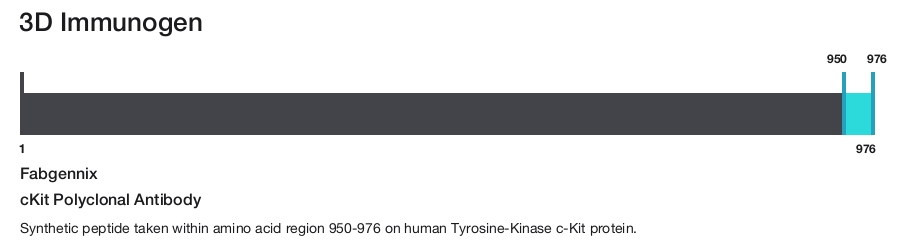 cKit Polyclonal Antibody