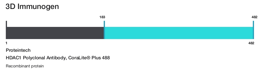 HDAC1 Polyclonal Antibody, CoraLite&reg; Plus 488