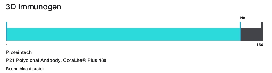 P21 Polyclonal Antibody, CoraLite&reg; Plus 488