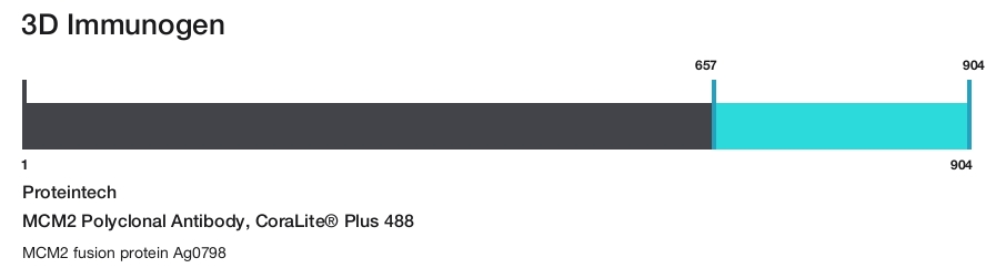 MCM2 Polyclonal Antibody, CoraLite&reg; Plus 488
