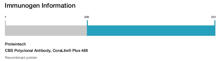 CBS Polyclonal Antibody, CoraLite&reg; Plus 488