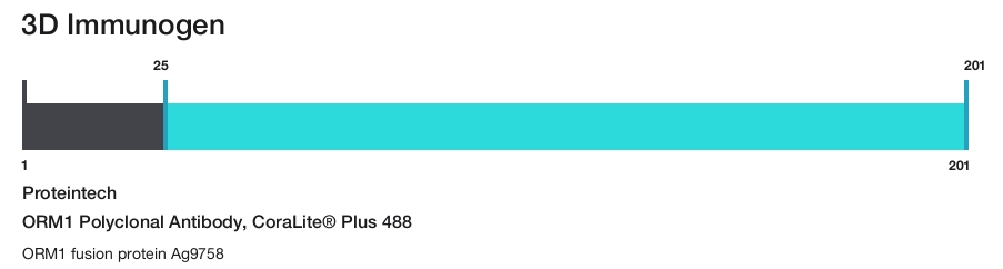 ORM1 Polyclonal Antibody, CoraLite&reg; Plus 488