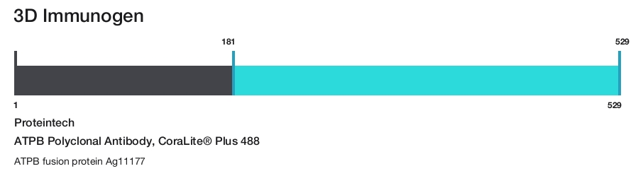 ATPB Polyclonal Antibody, CoraLite&reg; Plus 488