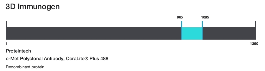 c-Met Polyclonal Antibody, CoraLite&reg; Plus 488