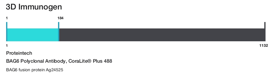 BAG6 Polyclonal Antibody, CoraLite&reg; Plus 488