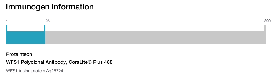 WFS1 Polyclonal Antibody, CoraLite&reg; Plus 488