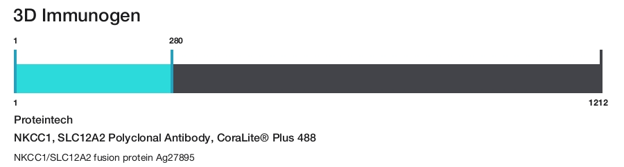 NKCC1, SLC12A2 Polyclonal Antibody, CoraLite&reg; Plus 488