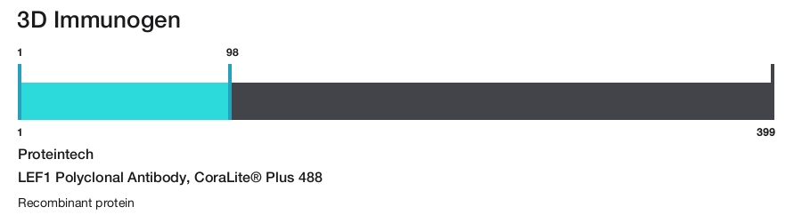 LEF1 Polyclonal Antibody, CoraLite&reg; Plus 488