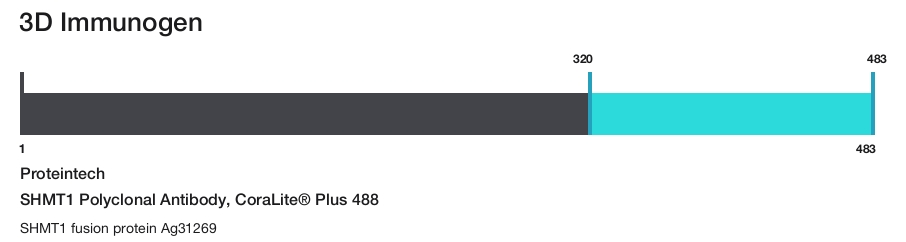 SHMT1 Polyclonal Antibody, CoraLite&reg; Plus 488