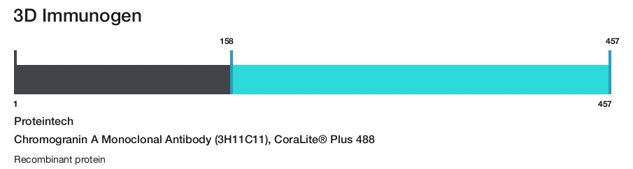 Chromogranin A Monoclonal Antibody (3H11C11), CoraLite&reg; Plus 488