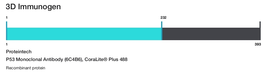 P53 Monoclonal Antibody (6C4B6), CoraLite&reg; Plus 488