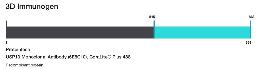 USP13 Monoclonal Antibody (6E8C10), CoraLite&reg; Plus 488