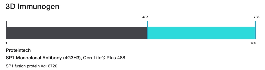 SP1 Monoclonal Antibody (4G3H3), CoraLite&reg; Plus 488