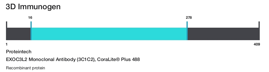 EXOC3L2 Monoclonal Antibody (3C1C2), CoraLite&reg; Plus 488