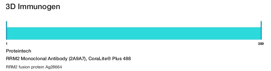 RRM2 Monoclonal Antibody (2A9A7), CoraLite&reg; Plus 488