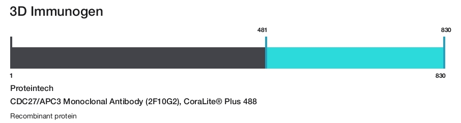 CDC27/APC3 Monoclonal Antibody (2F10G2), CoraLite&reg; Plus 488