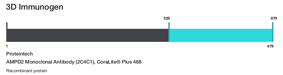 AMPD2 Monoclonal Antibody (2C4C1), CoraLite&reg; Plus 488